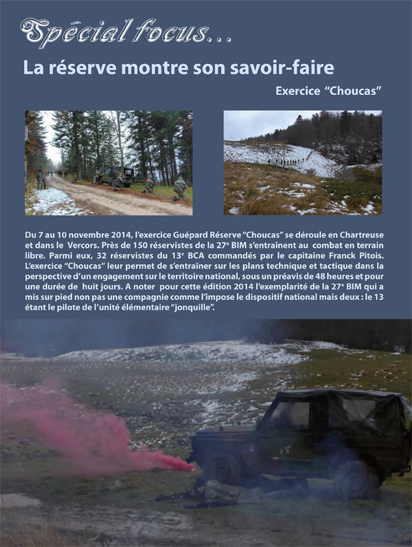 Exercice Choucas 2014 avec la 5eme compagnie du 13° BCA